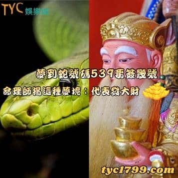 夢到蛇號碼539要簽幾號,命理師揭這種夢境:代表發大財