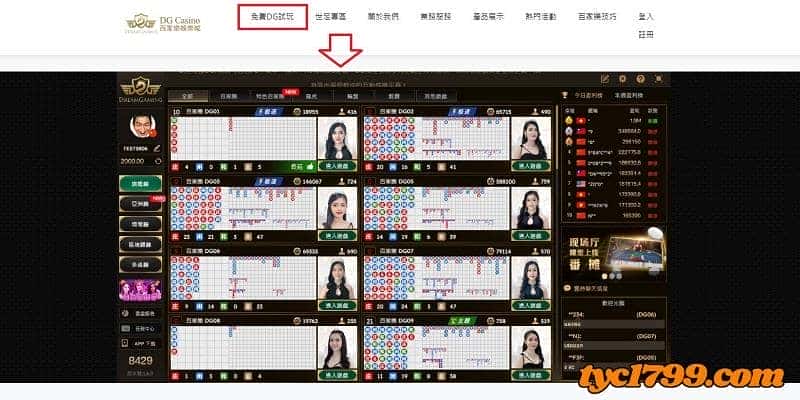 天天娛樂城提供免費的dg百家樂試玩功能!