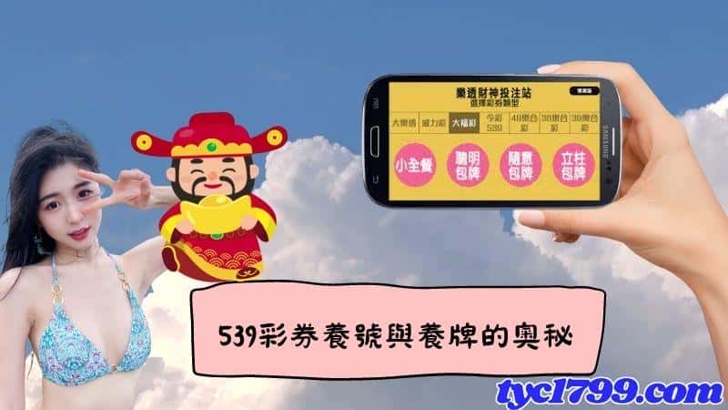 539彩券開獎組合玩法