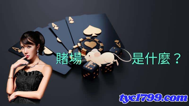 賭場老鼠是什麼？