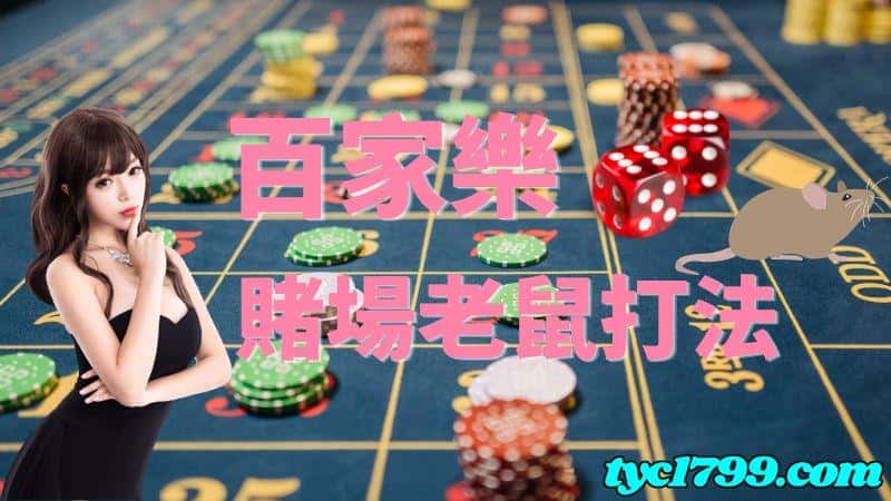 賭場老鼠的打法