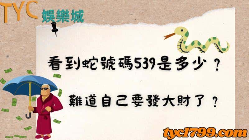 看到蛇號碼539是多少？難道自己要發大財了？