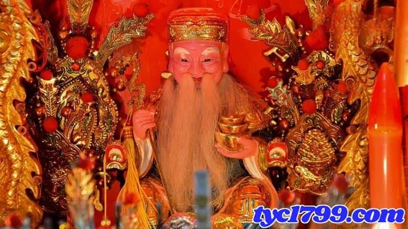 看到蛇號碼539要簽幾號？夢到蛇號碼又代表幾號？