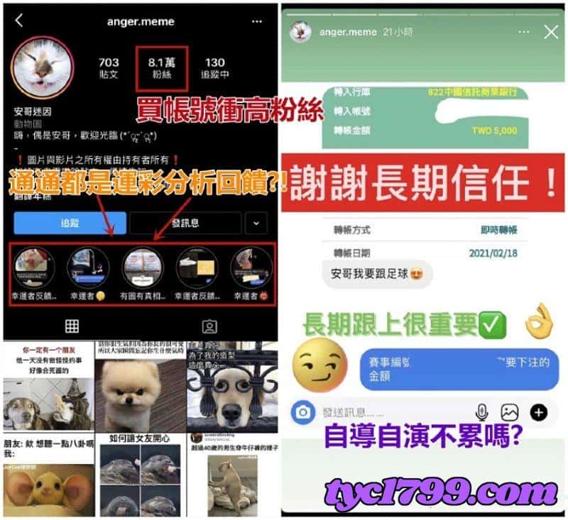 ig運彩分析是真的嗎？