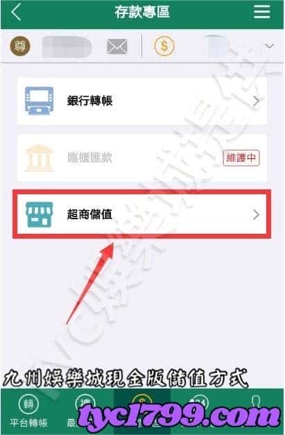 九州娛樂城現金版儲值方式