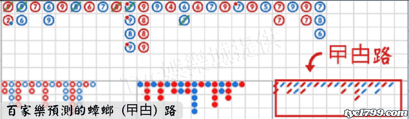 百家樂預測的蟑螂 (曱甴) 路