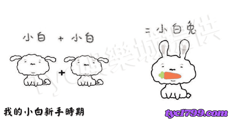 我的小白新手時期: