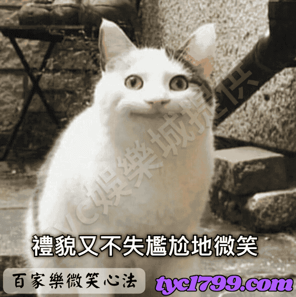 第一點（百家樂贏錢公式）