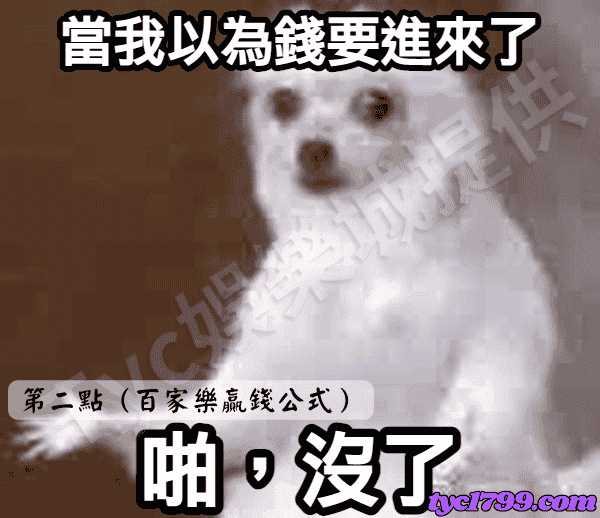 第二點（百家樂贏錢公式）