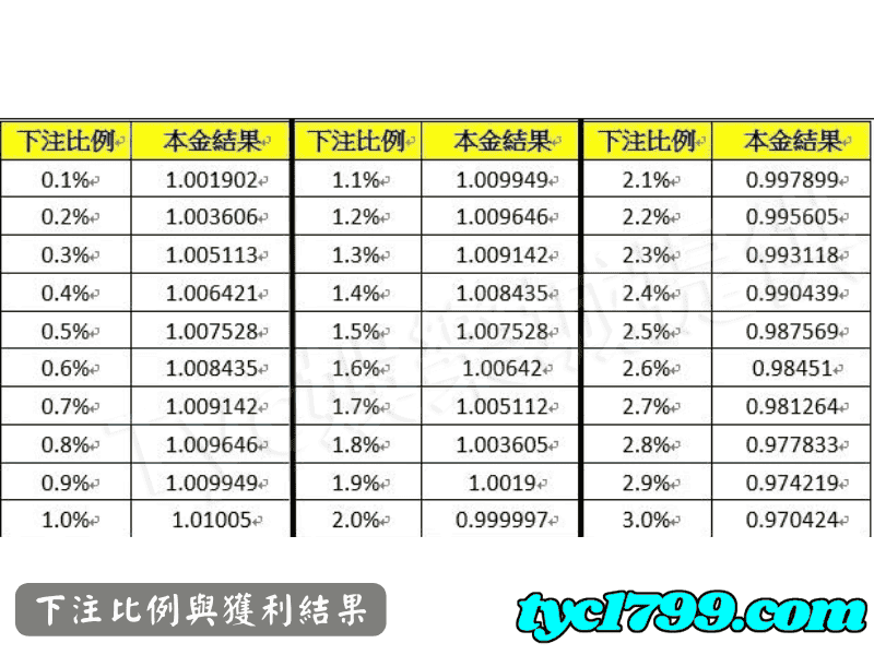 下注比例與獲利結果