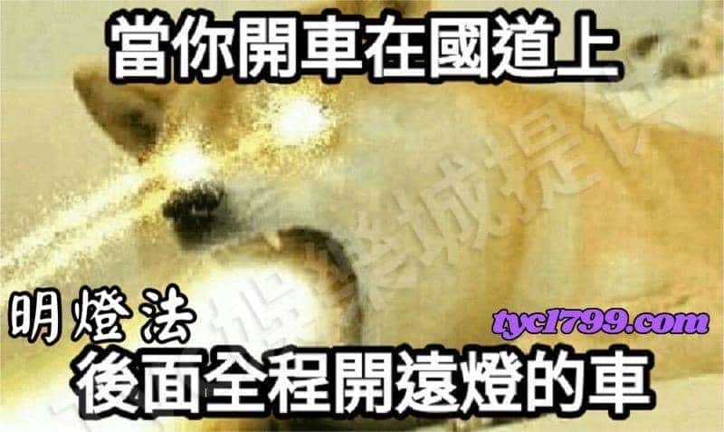 百家樂技巧五:明燈派