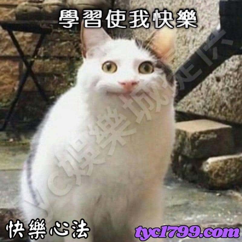 百家樂賺錢第三招 快樂心法