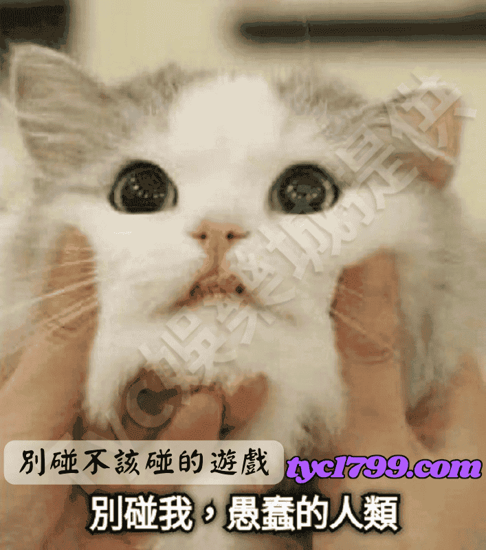別碰不該碰的遊戲