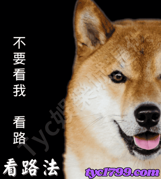 線上百家樂技巧五：之看路法