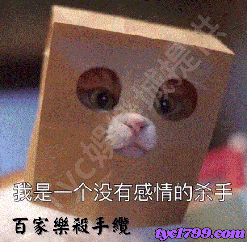 百家樂殺手纜(1.2.3.5.8.13.21.34)