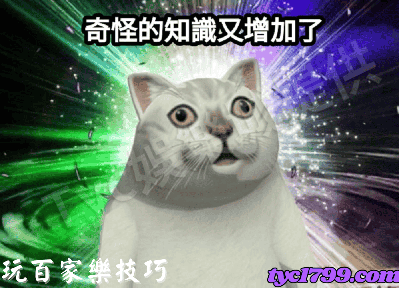 玩百家樂技巧,一定要制定一個長期的日盈利計劃,且嚴格按計劃實施方案