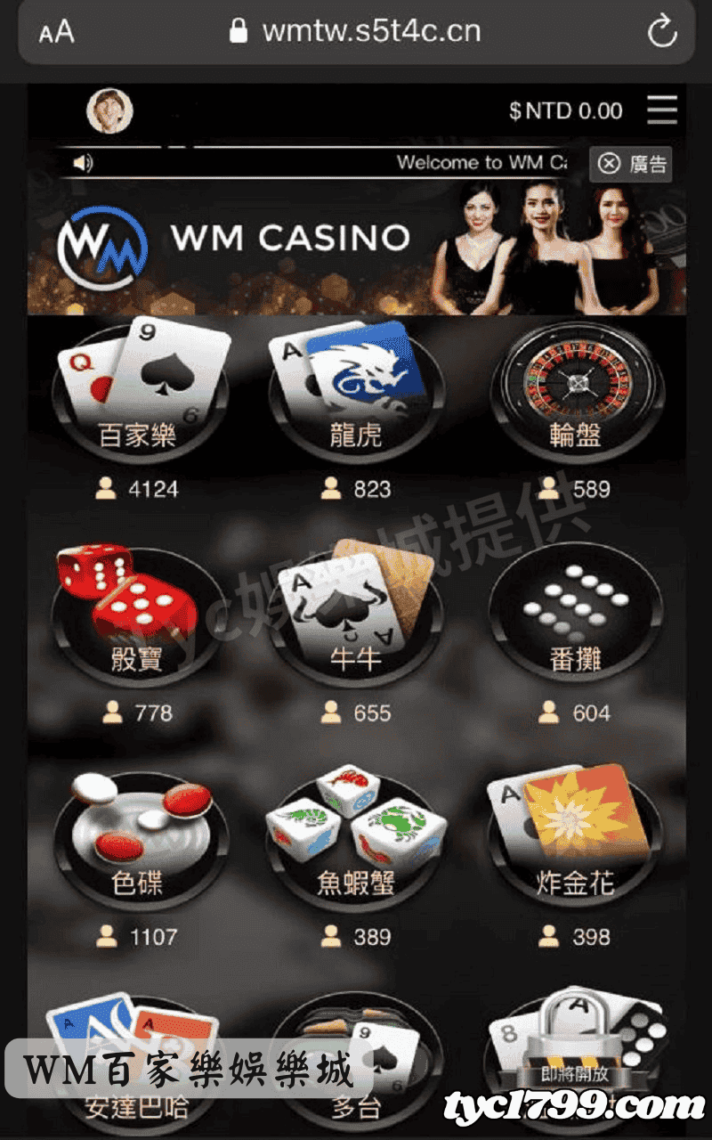 WM百家樂娛樂城