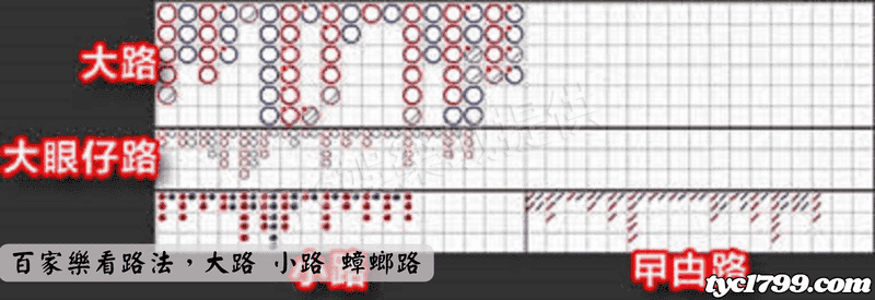 百家樂看路法，大路 小路 蟑螂路