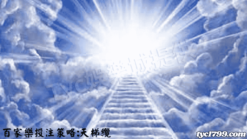 百家樂投注策略:天梯纜