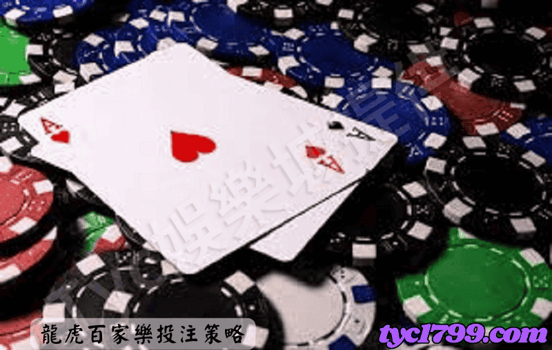 龍虎百家樂投注策略