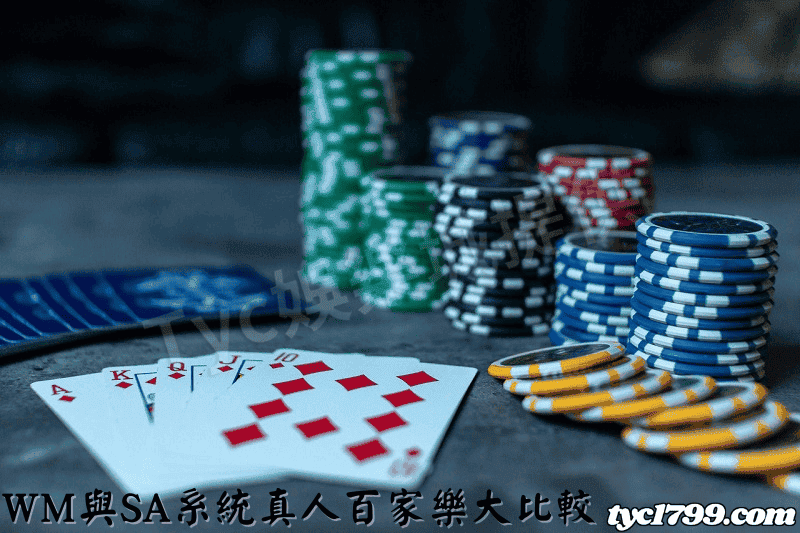 WM與SA系統真人百家樂大比較