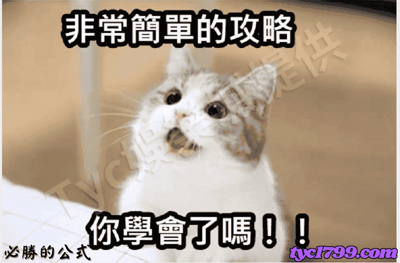 百家樂不知到怎麼下注，請尋找百家樂明燈法