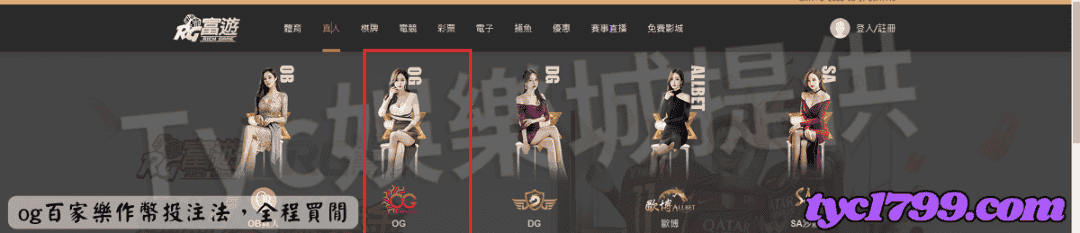 og百家樂作幣投注法,全程買閒