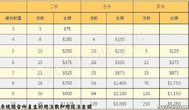 系統組合所產生的總注數和總投注金額