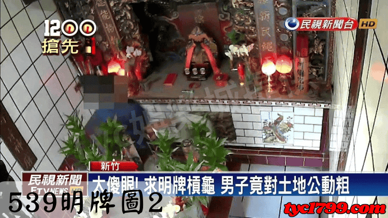 539明牌圖2