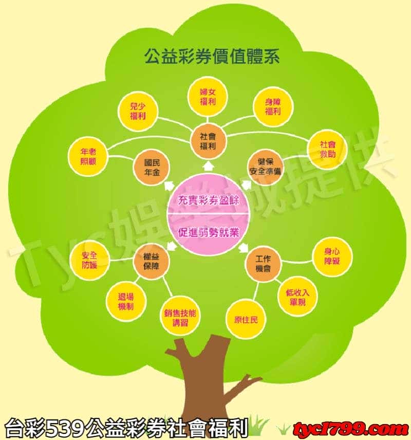 台彩539公益彩券社會福利