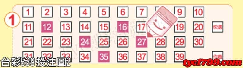 台彩539投注圖2