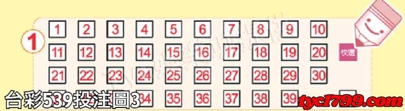 台彩539投注圖3