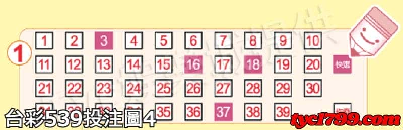 台彩539投注圖4