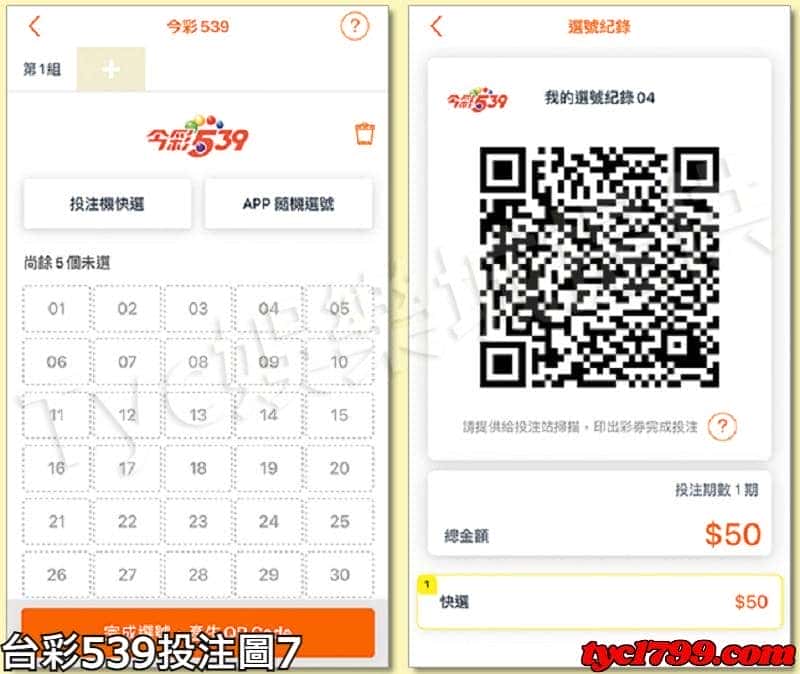 台彩539投注圖7