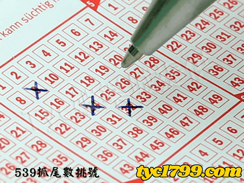 539抓尾數挑號