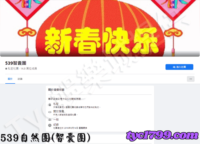 539自然團(智囊團)