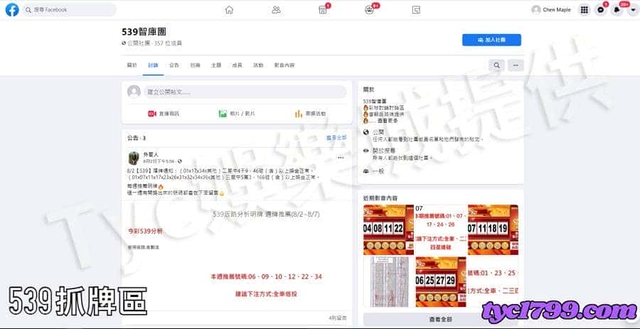 539抓牌區