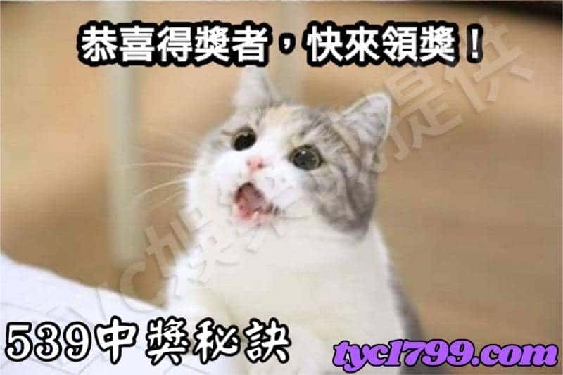 539中獎秘訣