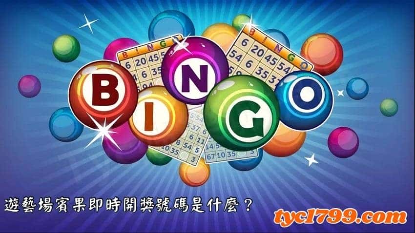 遊藝場賓果即時開獎是什麼？