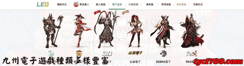 九州電子遊戲種類多樣豐富