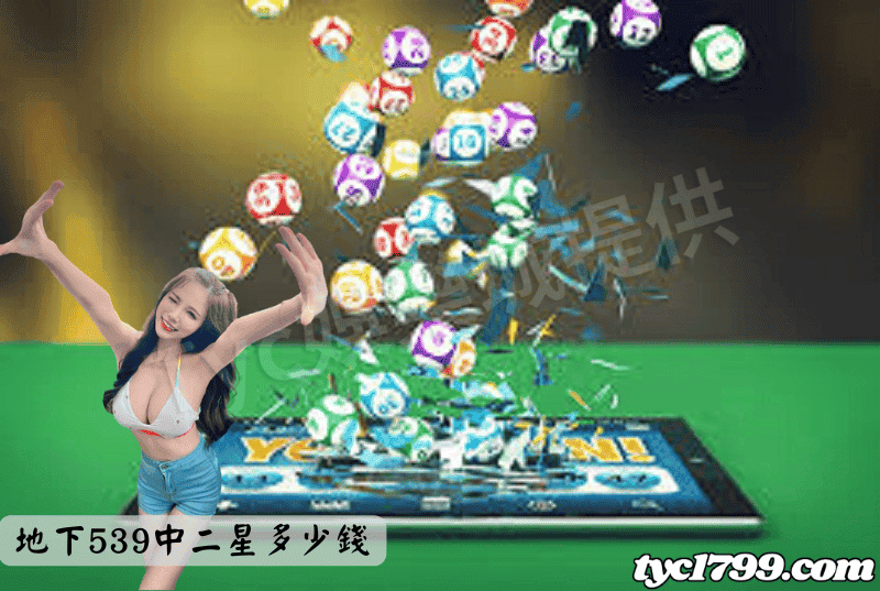 地下539中二星多少錢