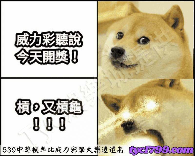 539中獎機率比威力彩跟大樂透還高