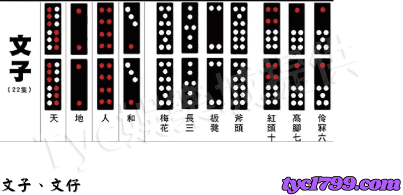 文牌、文仔示意圖