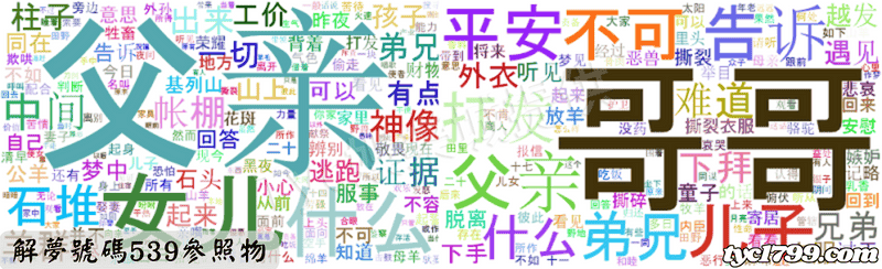 解夢號碼539參照物